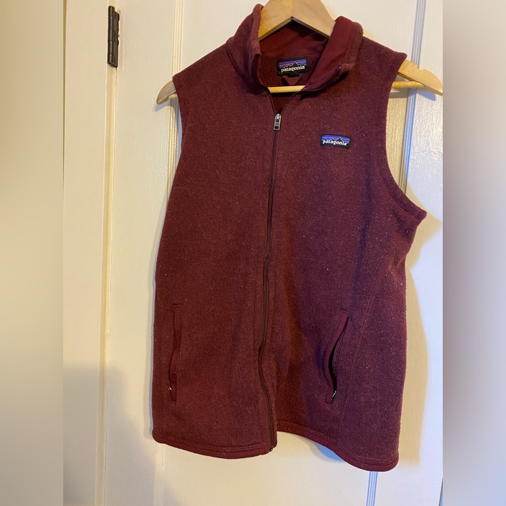 Patagonia vest